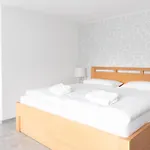 Accommodatie bij particulieren U Pava *